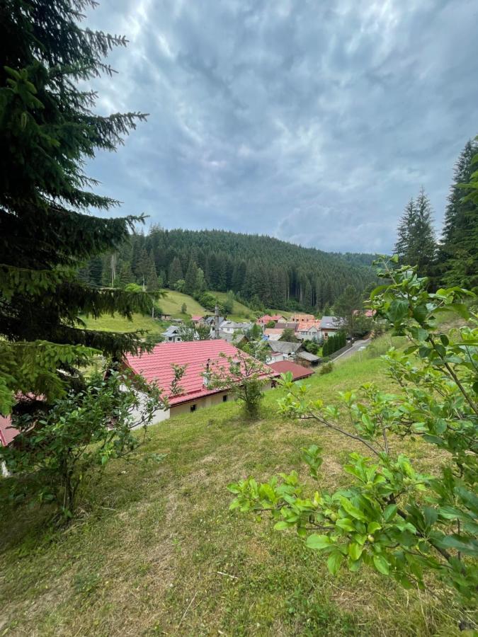 Casa De Vacanta Chesa Борсек Екстериор снимка