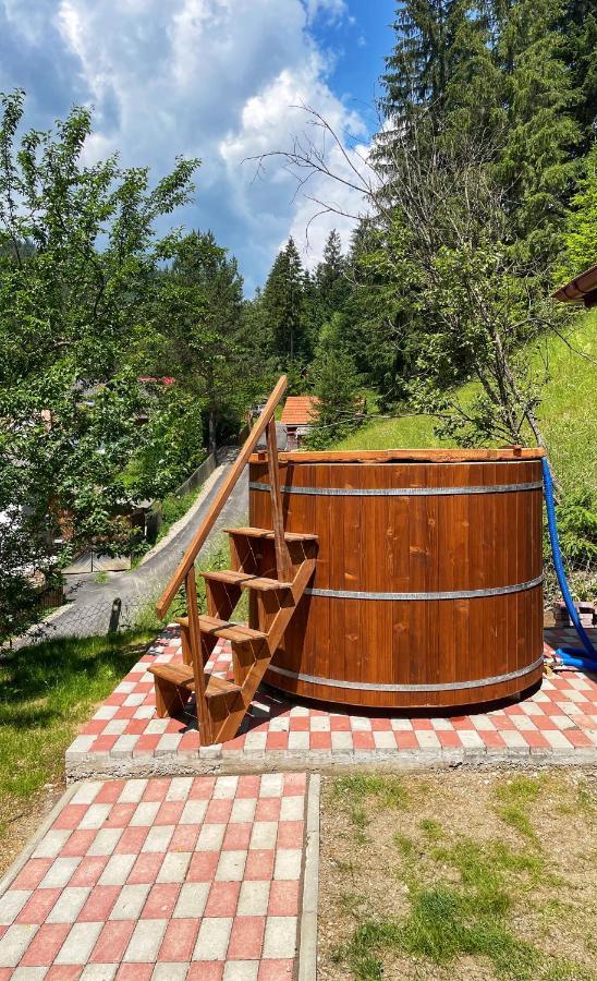 Casa De Vacanta Chesa Борсек Екстериор снимка